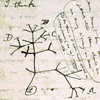 Collection Image