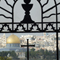 Children of Abraham